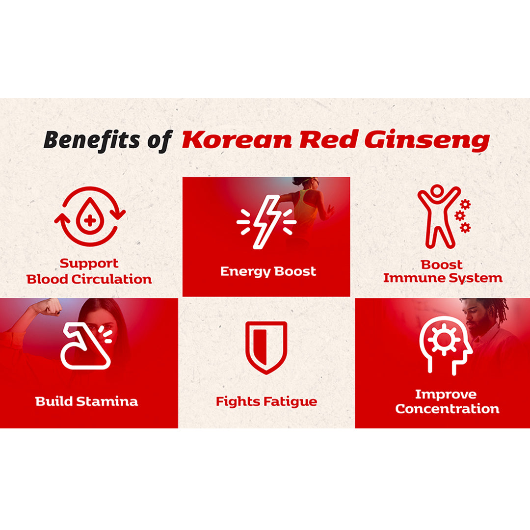 korean red ginseng benefits